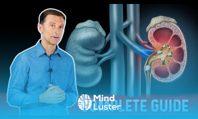 Kidney Stones 101 Causes Symptoms Remedies – Dr Berg