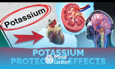 Symptoms of Potassium Deficiency High Potassium Diet Protects Kidneys Prevent Strokes – Dr Berg