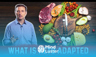 What is Keto Adaptation – Dr Berg on Ketosis vs Keto Adapted