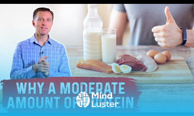 Learn How Much Protein On Keto – Dr Berg - Mind Luster