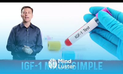 Understanding IGF 1 Insulin Like Growth Factor in Simple Terms – Dr Berg