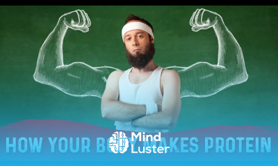 How Does Your Body Make Proteins Like Muscle Boost Growth Hormone Carbohydrates – Dr Berg