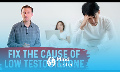 What Causes Low Testosterone Tips To Increase Testosterone Levels By Dr Berg