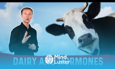 Dairy Menstrual Cycle Female Hormone – High Estrogen Foods To Avoid During Menstruation – Dr Berg