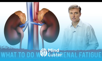 What To Do If You Have Adrenal Fatigue – Dr Berg Shows Adrenal Fatigue Exercise