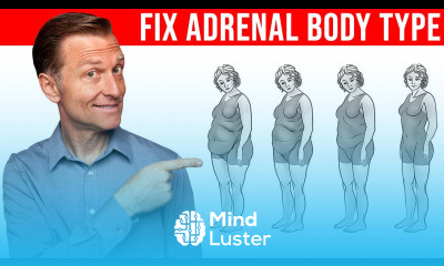 How to Fix the Adrenal Body Type Dr Berg