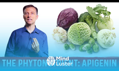 Benefits of Apigenin The Powerful Phytonutrient – Dr Berg