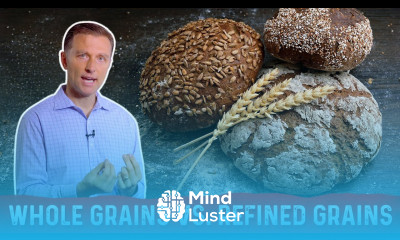 Difference Between Whole Grains and Refined Grains Explained By Dr Berg