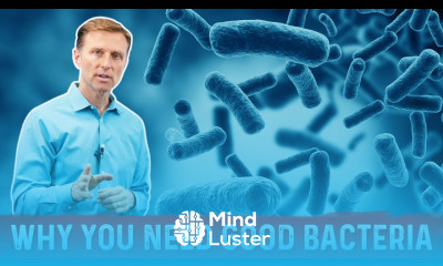 Friendly Bacteria Why You Really Need And how it Helps – Dr Berg