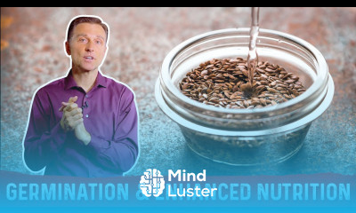 How To Germinate Seeds And Nuts Fast – Dr Berg