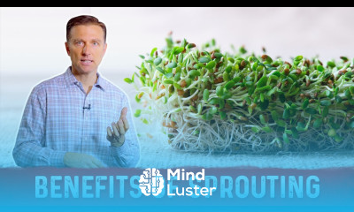 Nutritional Benefits of Sprouts Explained By Dr Berg