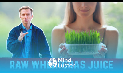 Wheatgrass Juice Powder and Mineral Rich Soils – Dr Berg s Interview
