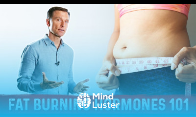 Fat Burning Hormone 101 Weight Loss Basics Explained by Dr Berg