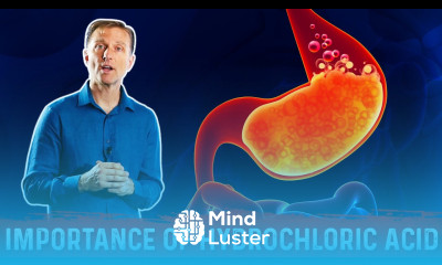 The Importance of Hydrochloric acid HCL in the Stomach – Dr Berg