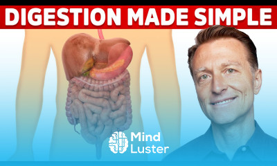 Your Digestive System Explained in Simple Terms