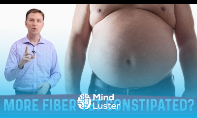 What Causes Constipation Can Eating More Fiber Help – Dr Berg