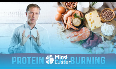 The Reason Why Protein Is Used for Fat Burning – Dr Berg