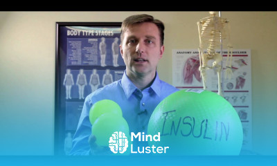 The Two Fat Making Hormones Cortisol and Insulin How they Dominate all Six Fat Burning Hormones