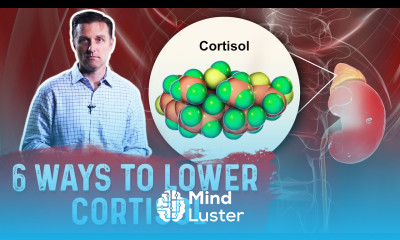 6 Ways To Lower Cortisol Levels – Cortisol Stress Hormone – Dr Berg