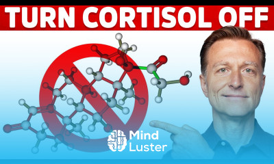 Why It s Hard To Turn Stress Cortisol Off – Dr Berg