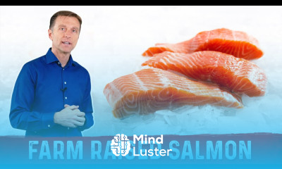 Problems with Farm Raised Salmon – Dr Berg on Farmed Salmon vs Wild Salmon