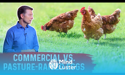 Commercial Eggs vs Pasture Raised Eggs – Dr Berg