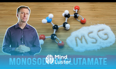 MSG vs Glutamate What s the Difference