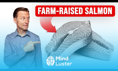 You ve Been Eating Gray Salmon with Synthetic Pink Pigments