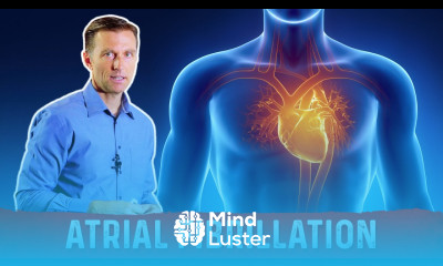 The Best Atrial Fibrillation Guidelines – Dr Berg