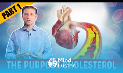 The Real Purpose of Cholesterol – Dr Berg on Cholesterol levels Part 1