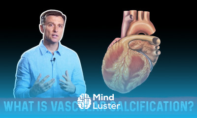 What Is Vascular Calcification – Dr Berg