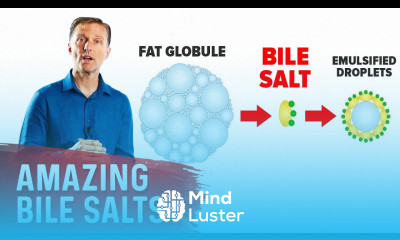 The 9 Benefits of Bile Salts