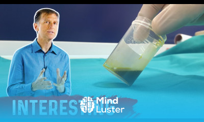 Why Does Your Body Recycle So Much Bile