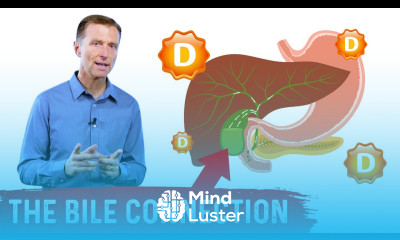 Vitamin D Bile and Your Gallbladder
