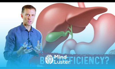 How To Know if You Have Bile Deficiency Dr Berg