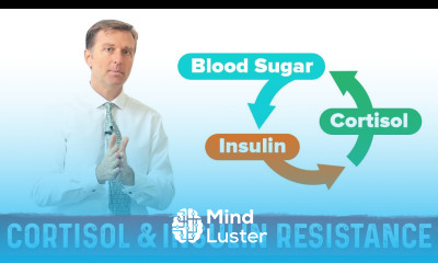 Cortisol Resistance Insulin Resistance Explained by Dr Berg