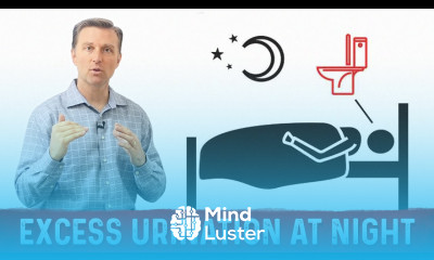 How to Fix Frequent Urination at Night Nocturia – Dr Berg