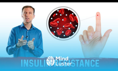 Understanding Insulin Resistance What You Can Do About It – Dr Berg