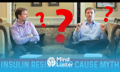 What Causes Insulin Resistance – EXPLAINED By Dr Berg