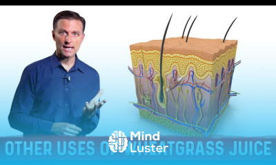 Benefits and Uses of Wheatgrass Juice Powder for Skin Problems – Dr Berg