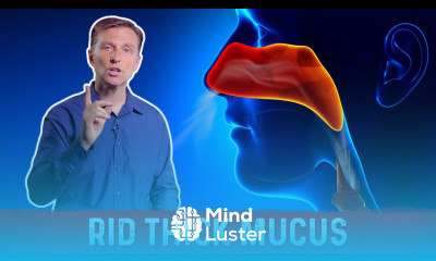 Best Medicine To Get Rid Of Thick Mucus – Dr Berg 30 seconds