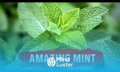 Mint Benefits for Health Mint Leaf Uses for Digestion Issues Dr Berg