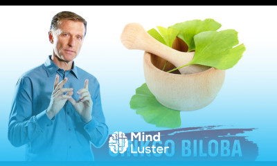 What is Ginkgo Biloba – The Benefits of Ginkgo Biloba – Dr Berg