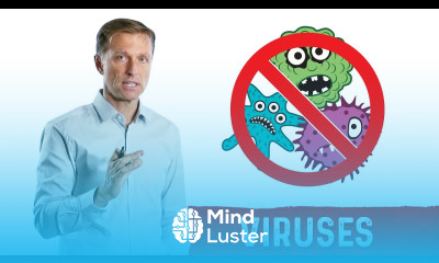 13 Natural Antiviral Nutrients