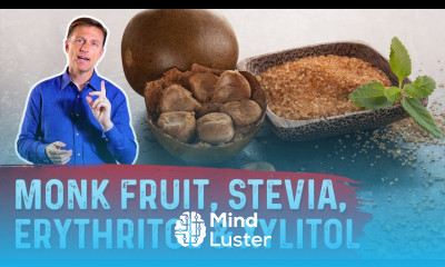 Artificial Sweeteners Monk Fruit Stevia Erythritol Xylitol – Dr Berg