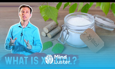 What is Xylitol – Dr Berg