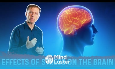 Effects Of Stress On The Brain – Dr Berg