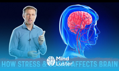How Stress Affects Your Brain – Dr Berg