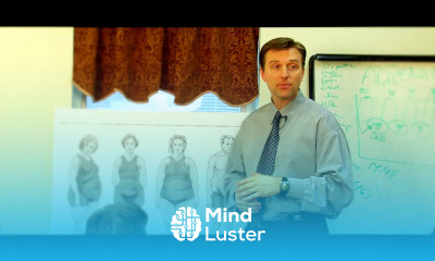 Body Shape Seminar Part 3