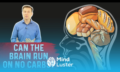 Can the Brain Run On No Carbs